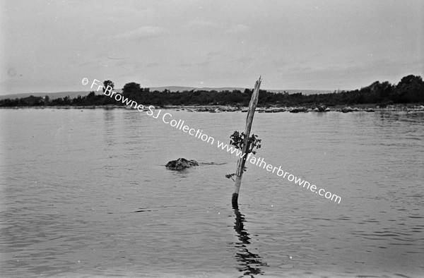 LOUGH DERG  MARKING POST SPROUTING